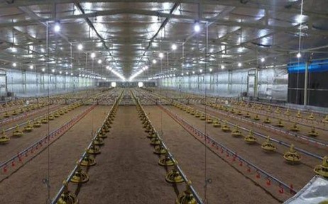bubble insulation, underdeck insulation, reflective insulation, livestock, poultry farming insulation, poultry farming