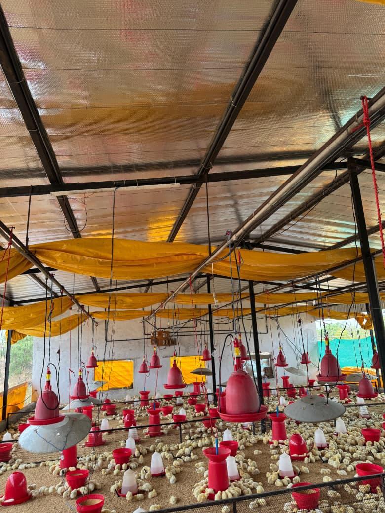 Air Bubble Insulation, rooftop insulation, Heat Insulation sheet, Air bubble Insulation, heat insulation sheet, Reflective Foil Insulation, Poultry Farm Insulation