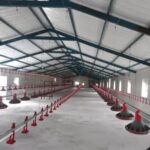 rooftop insulation