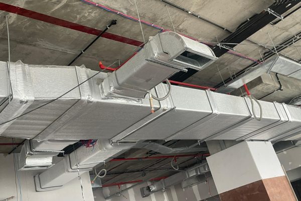 WhatsApp Image 2026-04-15 at 4.16.49 PM