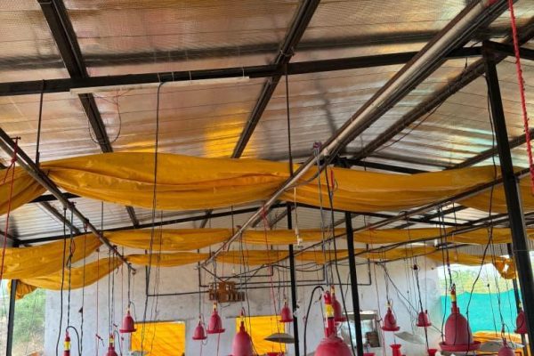 Air Bubble Insulation, rooftop insulation, Heat Insulation sheet, Air bubble Insulation, heat insulation sheet, Reflective Foil Insulation, Poultry Farm Insulation